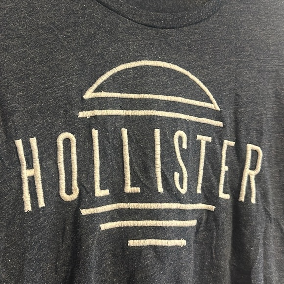 (J) GUC: Hollister T-shirt with embroidered logo, size M - Picture 2 of 6